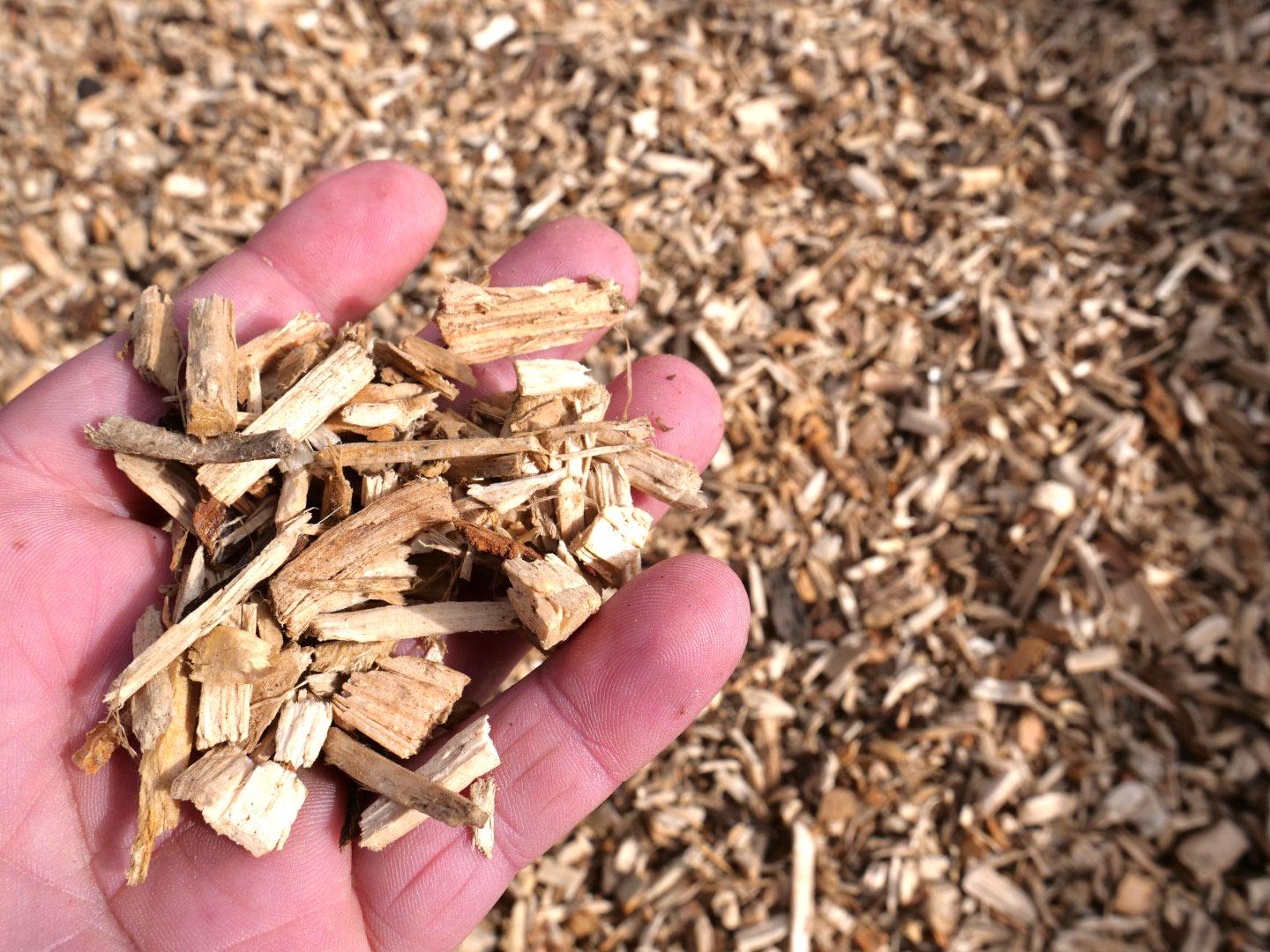 Wood Chips